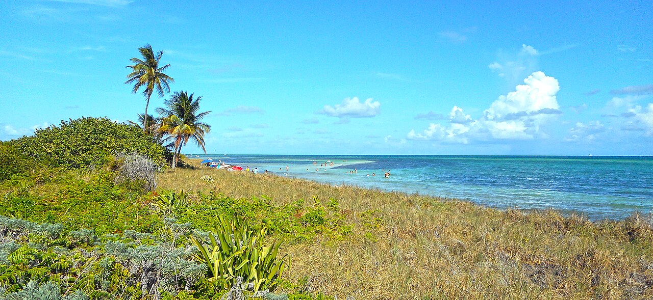 Bahia Honda State Park - Beach with palm trees