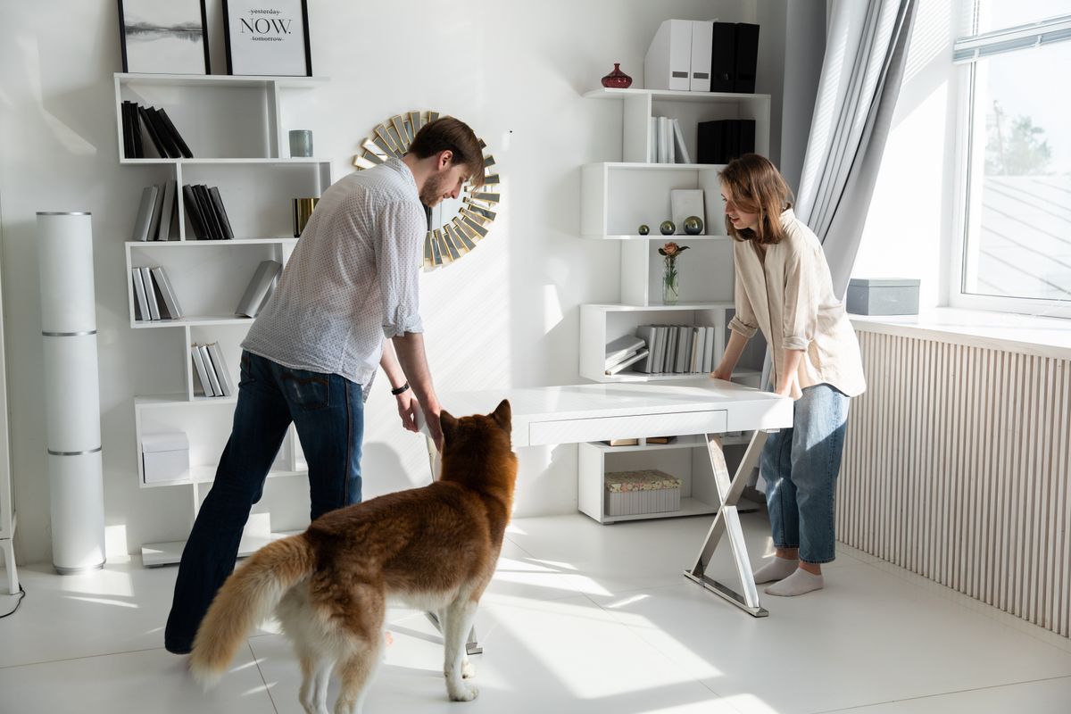 A couple adjusting a desk in a bright, modern living room with a dog observing.