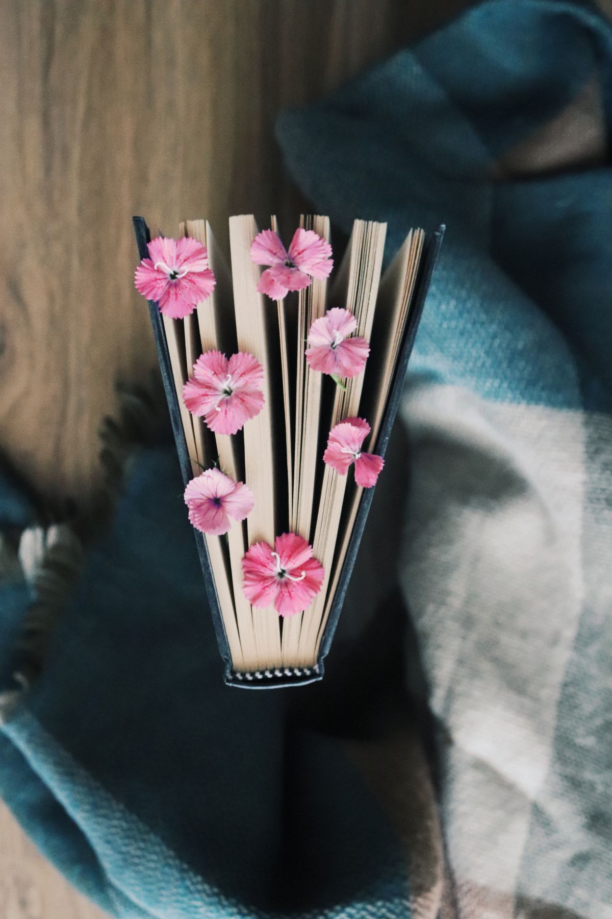 Top view of an open book adorned with pink flowers on a cozy blanket.
